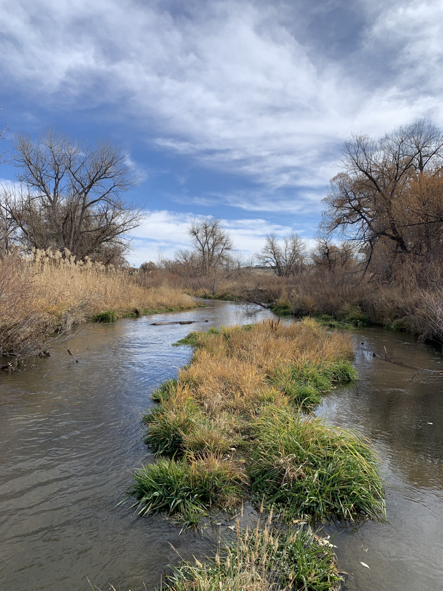 Cherry Creek at Stroh Road