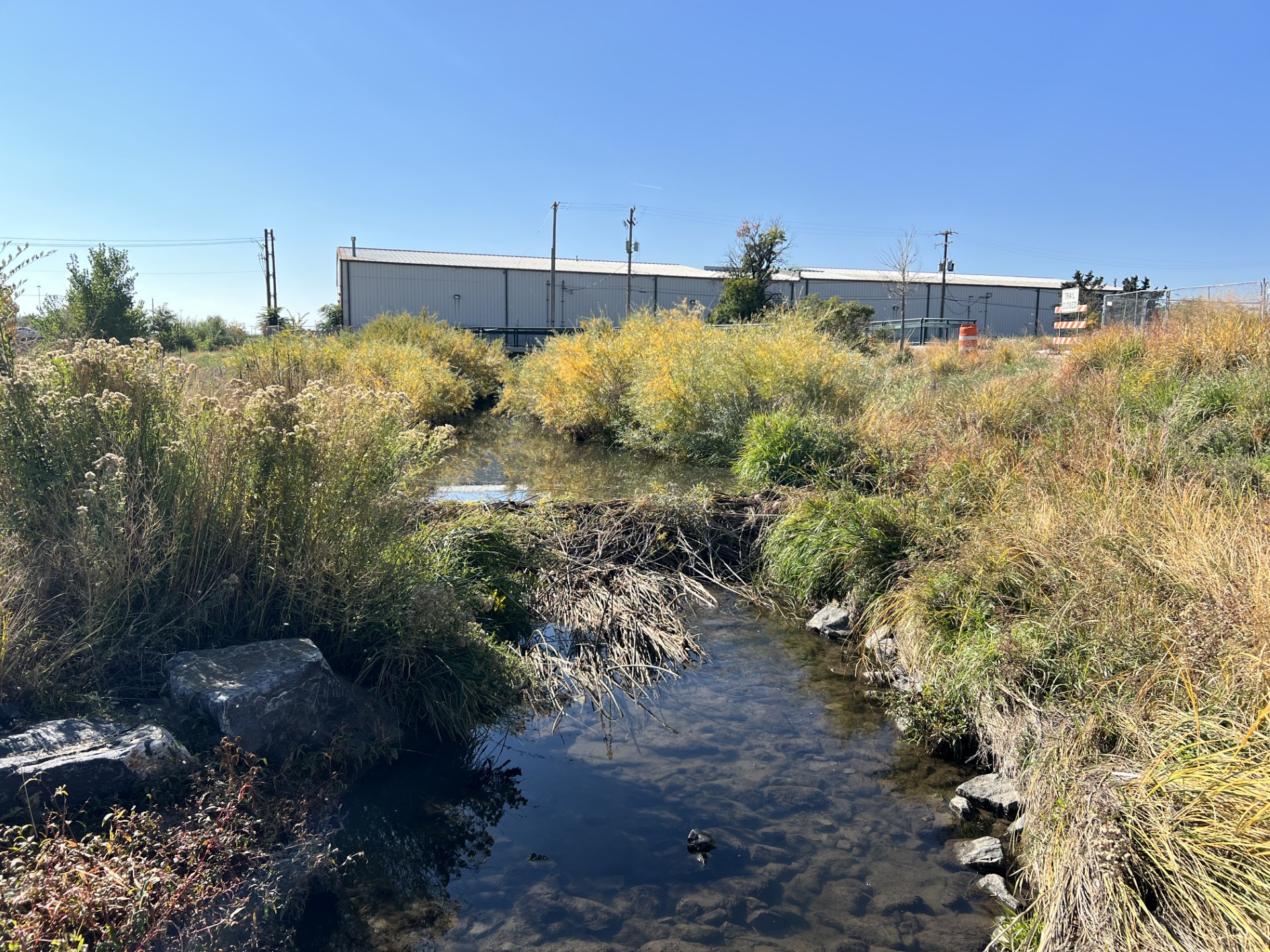 Photo of Weir Gulch